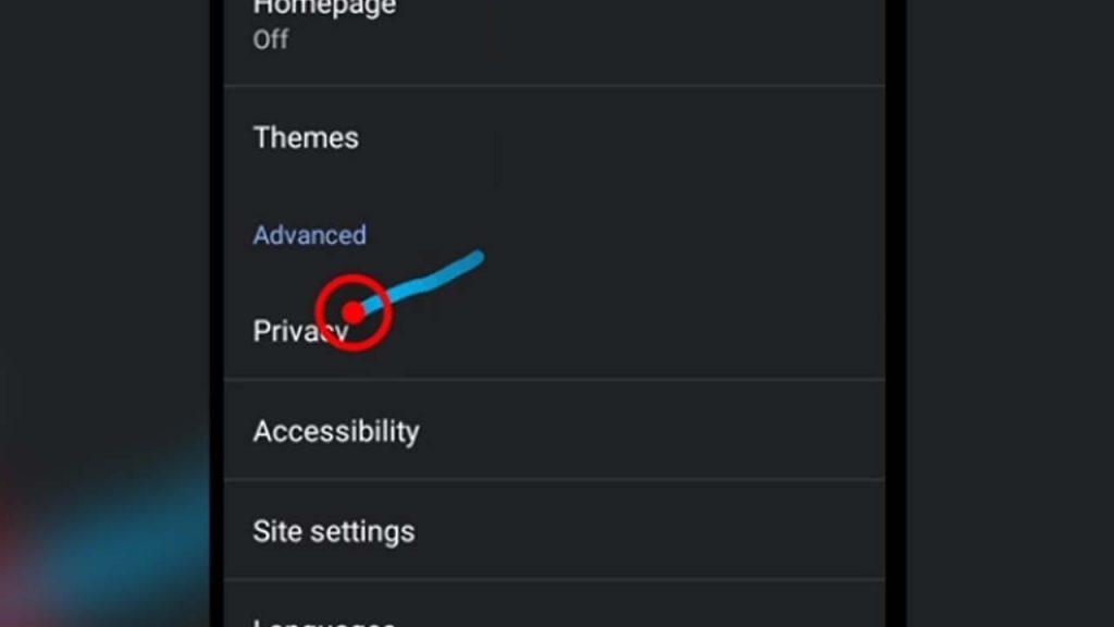 3. chrome privacy option