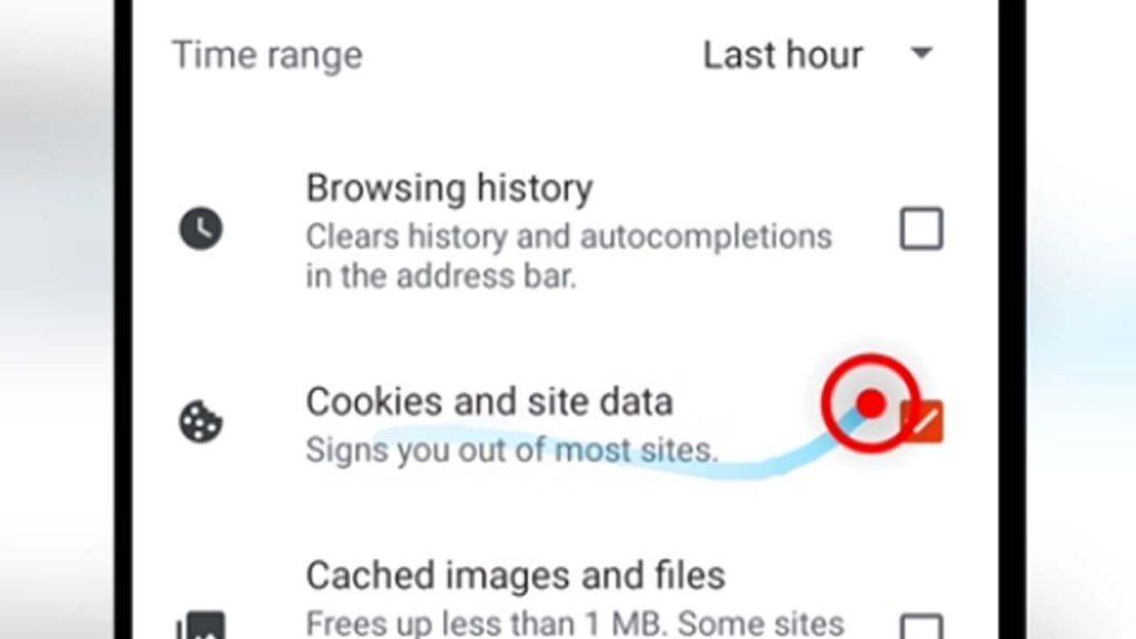 5. brave browser cookie and site data