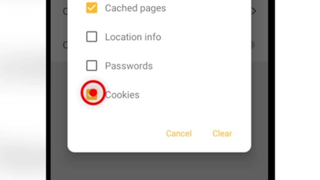 5. pure browser cookies checkbox